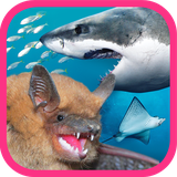 ir.tinasoft.animal_tracing