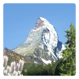 de.toar.livewallpaper.mountainsummer.free