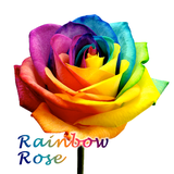 jp.co.a_tm.android.plus_rainbow_rose