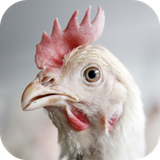 com.andromo.dev230101.app214346