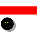 com.tangosix.squashghosting