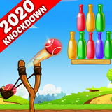 com.bottleshootinggame.knockdown