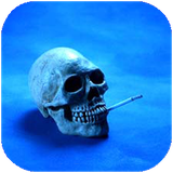 kalale.mavadmokhadar