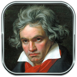 ir.parsima.bethovenmus