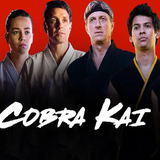 co.ad.cobrakai