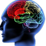 ir.ravanshenase.akhlagh.dar.afrad.d