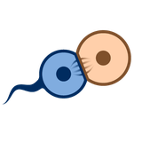 com.saterskog.cell_lab
