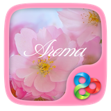 com.gau.go.launcherex.theme.Aroma.free