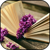 com.ipmobilesolutions.wallpapersbooks