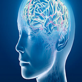 com.hipnotizm11.book