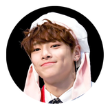 com.ssamufairy.inskzwallpapershd