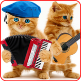 pl.infinzmedia.talkingcats