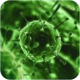 ghahreman.khatarnaktarinbimarihayegahan