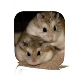 com.andromo.dev663679.app735352