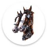 com.two.horses