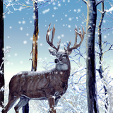 com.amaxlwps.winterforestlivewallpaper