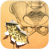 mshma.pokiyeostekhan