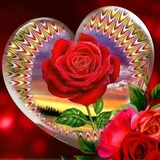 com.Fatiik.Flowers.Giif