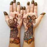 com.cheekumeekulabs.aliyaan.ChildernMehndiDesigns