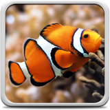 com.AquariumLiveWallpaperHDHQ