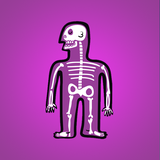 com.insplisity.humanbodyfacts