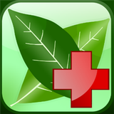 com.s.m.d.attari.mojeze.gar