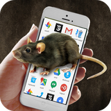 zohani.app.mush