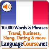 net.languagecourse.vt.fr