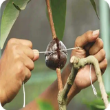 com.Empugundrink.CompleteGraftingGuide