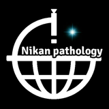 com.nikanpatho.pathalohy