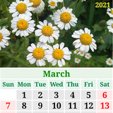 style_7.calendarcreator_7