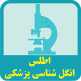 com.ahmadhabibi.atlasparasitology