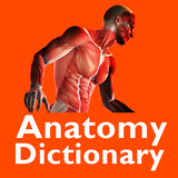 com.freeappartist.anatomydictionary