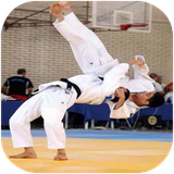 shafagh.teknikhayjodo