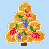 com.dilstudio.christmasrecipes