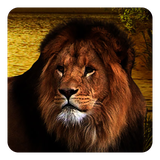 com.LionsLiveWallpaper