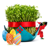 ir.codetime.tazeenesabze