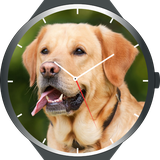 com.kjsk.watchface.dogs