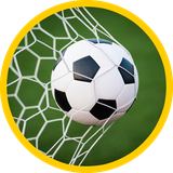 com.ddrmic.penaltyworldcupbrazil2014