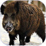 folad.anvaekhukhavagavaznha