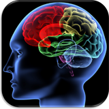 mindware.shuffle