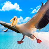 com.wildlife.pelican