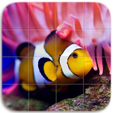 com.mourrtec.marinelife