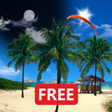 ru.bastion7.beachpalms.free