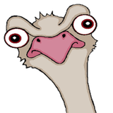 ir.daramadzaee.ba.parvaresh.shotormorgh.d