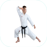 com.sra_ht.karate