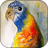 pintaracuarela.pinturaagua.watercolorfree