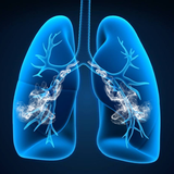 com.vizorg.nosmoking