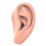 ir.s.r.d.salamat.goosh