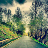 yazdan.meshkin.hadi
